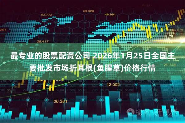 最专业的股票配资公司 2026年1月25日全国主要批发市场折耳根(鱼腥草)价格行情